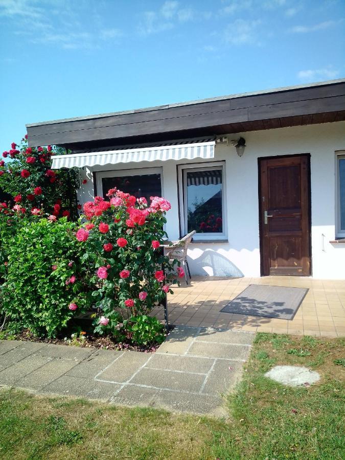 Fewo Isla 1 Elmenhorst/Lichtenhagen المظهر الخارجي الصورة